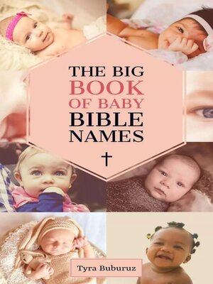 cover image of The Big Book of Baby Bible Names
